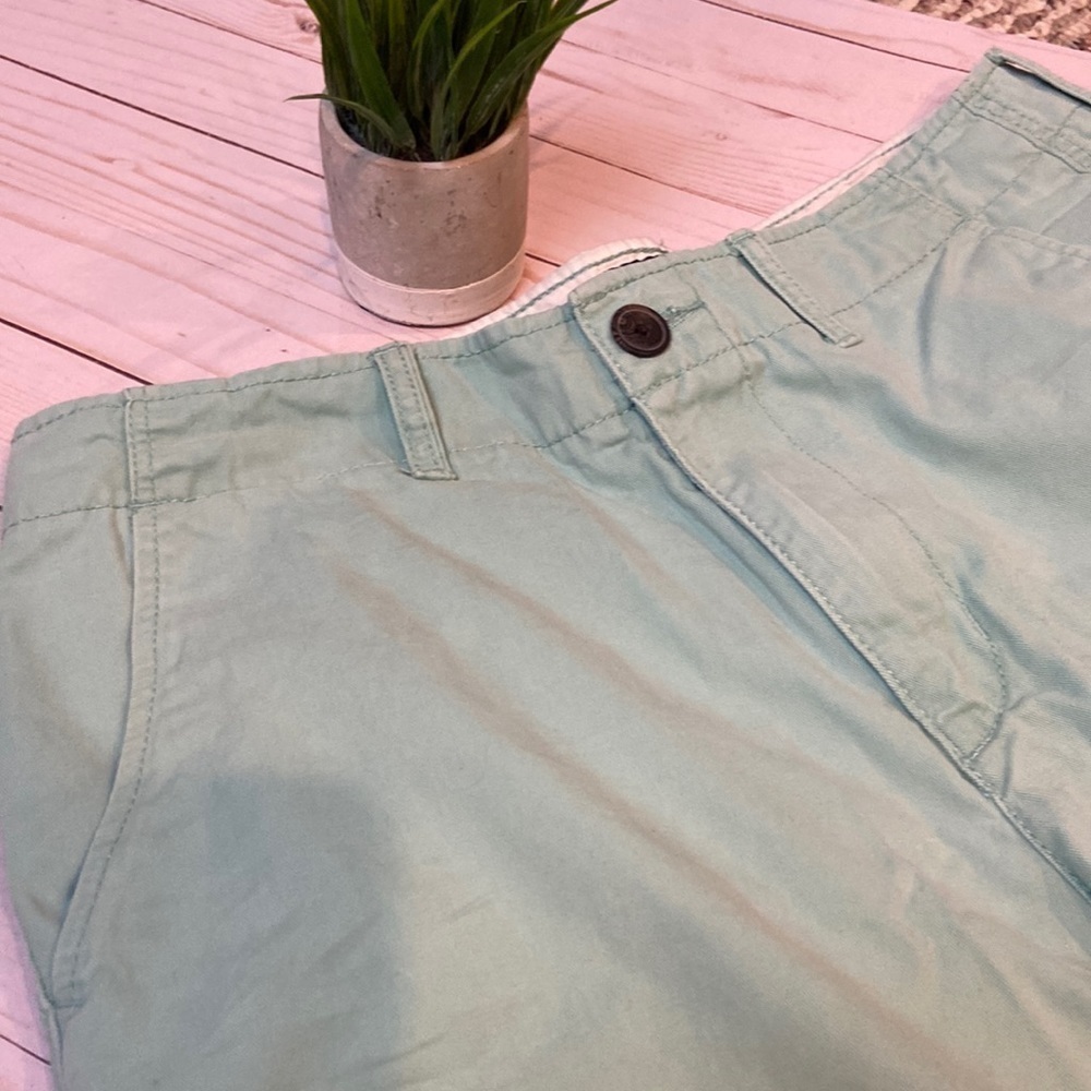 American Eagle Outfitters Flat Front Green Shorts - Picture 2 of 8